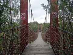 -吴淞炮台湾湿地森林公园烧烤区