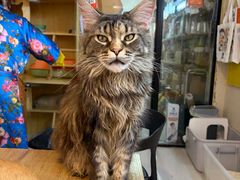 -平行世界·猫咖(首经贸店)
