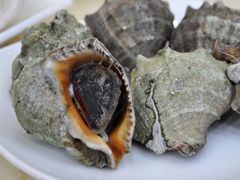 清蒸海螺-海岛渔村大酒店(云霄路店)