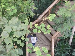 -郑州植物园