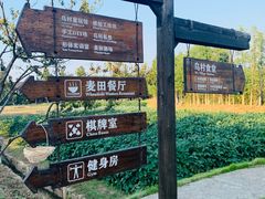 -乌村