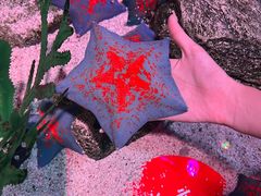 -沈阳海洋探索中心