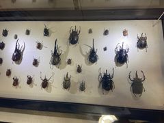 -燕莎友谊商城(亮马桥店)
