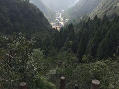 -娄山关景区