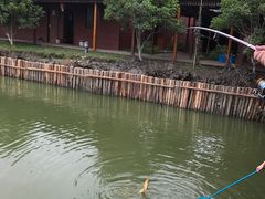 -上膳源有机农场