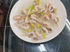 -双湖农庄