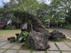 -海口火山口国家地质公园