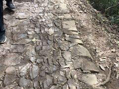 -十里琅珰