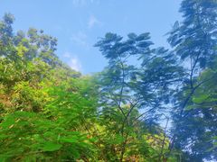 -广州市白云山风景名胜区