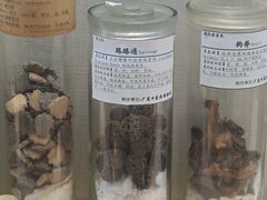 -广东中医药博物馆