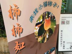 -嘉善老市