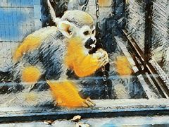 -昆明动物园