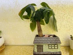 -CICI纤美·科技减肥美容