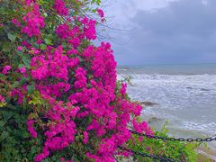 -三亚南山文化旅游区