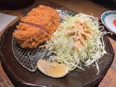 -山杏yama-katsu·吉列炸物