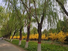 -东疆建设开发纪念公园
