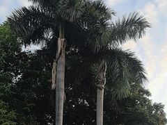 -广州市白云山风景名胜区