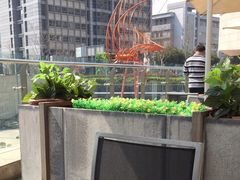 -麦当劳(塔园路店)