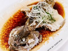 清蒸桂花鱼-御彩酒家(东风东路店)