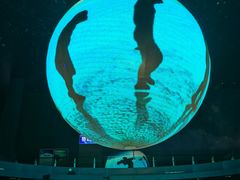 -安徽省地质博物馆