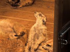 -南戴河国际娱乐中心