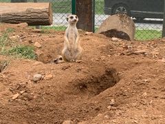 -秦皇岛野生动物园