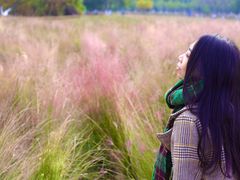 -艾溪湖湿地公园