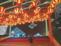-重庆国际马戏城
