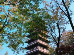 -宜兴龙背山森林公园