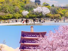 -牛首山文化旅游区