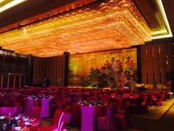 -武汉富力威斯汀酒店·宴会厅