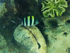 -苏州海洋馆