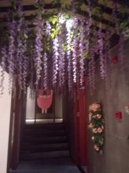 -Cocodemer 产后恢复中心(多伦路店)