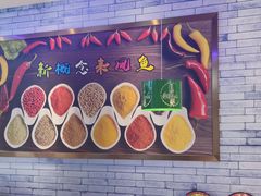 -新概念来凤鱼(璧山店)
