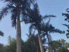 -上海玛雅海滩水公园