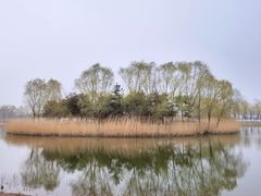 -大兴滨河森林公园