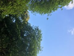 -近代中国十八先贤铜像广场(广州校区)