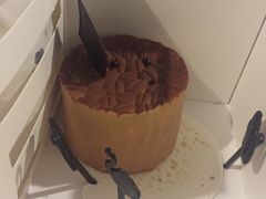 -BLACKSWAN黑天鹅(环球店)