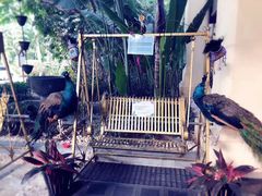 -西双版纳融创皇冠假日度假酒店