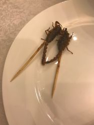 -花家怡园·宴会厅(簋街四合院总店)