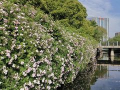 -尚贤河湿地
