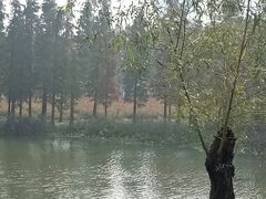 -艾溪湖湿地公园