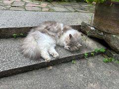 -老屋咖啡