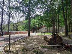 -阳台山自然风景区