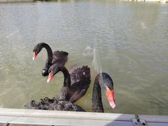 -春晖园度假酒店温泉