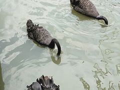 -八景休閒山莊  廣東十大名山莊