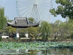 -无锡蠡湖国家湿地公园-蠡园