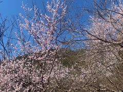 -北京十三陵国家森林公园蟒山景区