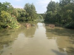 -溱湖国家湿地公园