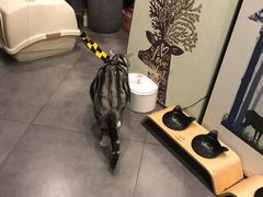 -咖法森林·咖啡  酒吧(天河店)